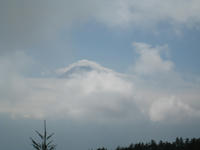 IMG_4414_R.JPG