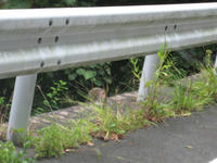 c2f3b802.jpg