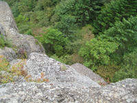 IMG_4418_R.JPG