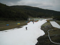 IMG_4475_R.JPG