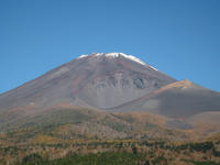 IMG_4539_R.JPG