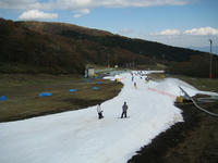 IMG_4545_R.JPG
