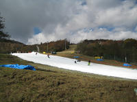 IMG_4544_R.JPG