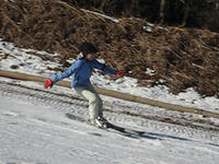 81456b33.jpg