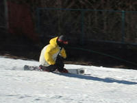 2fda248f.jpg