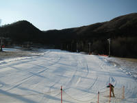 IMG_4912_R.JPG