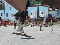 11f093dd.jpg