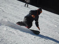 34f68d41.jpg