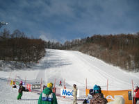 IMG_5488_R.JPG