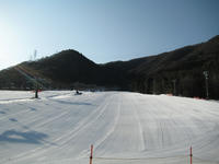 IMG_5728_R.JPG