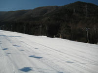 IMG_5904_R.JPG