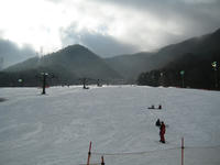 IMG_6033_R.JPG