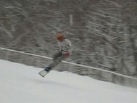 d71761f6.jpg