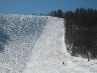 IMG_6250_R.JPG
