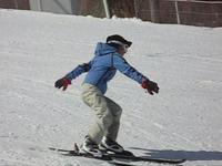 54177056.jpg
