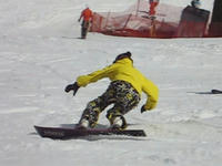 800bb24a.jpg