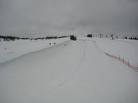 IMG_7093_R.JPG