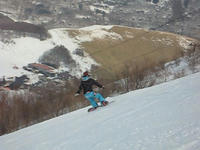 3ab38c78.jpg