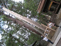 IMG_7396_R.JPG