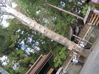 IMG_7397_R.JPG