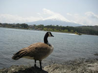 IMG_7561_R.JPG