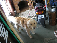 IMG_7650_R.JPG