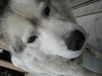 IMG_7674_R.JPG