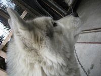 IMG_7675_R.JPG