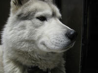 IMG_7699_R.JPG