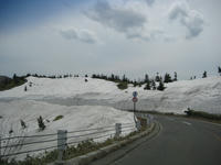 IMG_7752_R.JPG