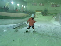 2955f5e2.jpg