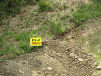 IMG_7910_R.JPG