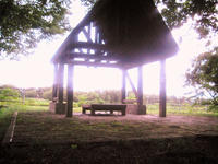 IMG_8377_R.JPG