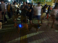 P1120778_R.JPG