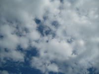 IMG_8534_R.JPG