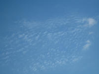 IMG_8630_R.JPG