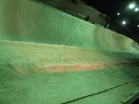 IMG_8639_R.JPG