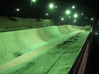 IMG_8919_R.JPG