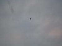 IMG_9012_R.JPG