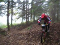 09c931e7.jpg