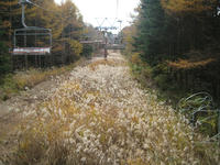 IMG_9264_R.JPG