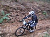 d81a86d4.jpg