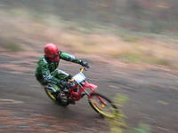 fa50cc35.jpg