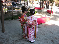 IMG_9387_R.JPG