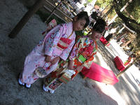 IMG_9381_R.JPG