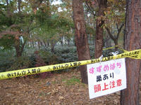 IMG_9784_R.JPG