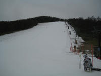IMG_9831_R.JPG