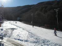 IMG_0061_R.JPG