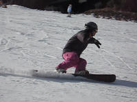 55880d34.jpg