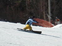 7f045e13.jpg